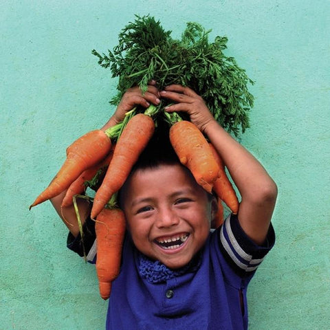 Give a gift that matters: a donation in your friend's name. This gift will provide seeds for a 1 acre community garden. Healthy traditional foods such as corn