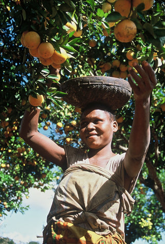Give a gift that matters: a donation in your friend's name. Trees have many functions on small family farms. Their roots hold precious top soil in place, and t