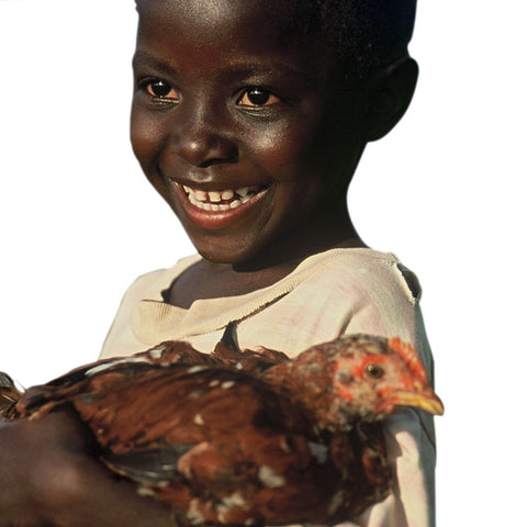 Give a gift that matters: a donation in your friend's name. With a Flock of Hope, egg production will begin in almost no time! Where families, especially child
