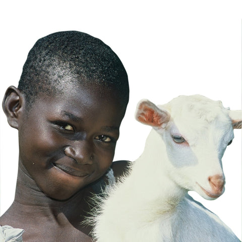 Give a gift that matters: a donation in your friend's name. Goats are tough to be certain, yet they are amazingly gentle. So friendly, in fact, that it is the