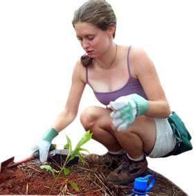 Give a gift that matters: a donation in your friend's name. Over the last ten years, students and faculty at The School for Field Studies Center for Rainforest