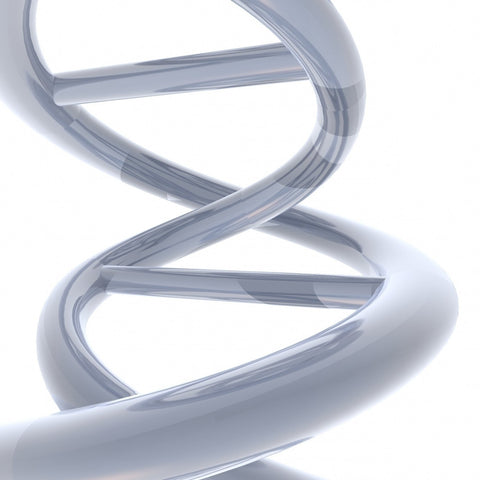 Give a gift that matters: a donation in your friend's name. Your gift will provide analysis of DNA gel samples. Agarose gel electrophoresis is the easiest and