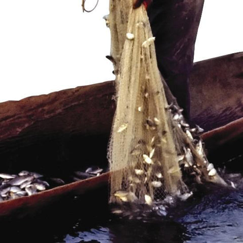 Give a gift that matters: a donation in your friend's name. Your gift will provide five Sudanese families with gear to catch fish for family consumption or for