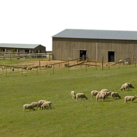 Give a gift that matters: a donation in your friend's name. Your gift will provide one month of care for a barnyard of rescued animals, including one each of a