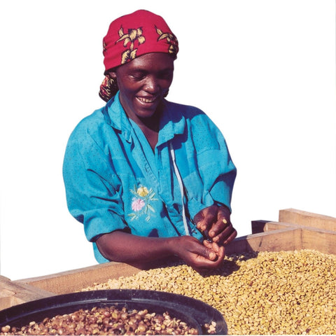 Give a gift that matters: a donation in your friend's name. TechnoServe has supported the Tanzanian coffee industry in its transformation from a low-quality cof